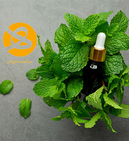 mint-essential-0 اسانس نعنا